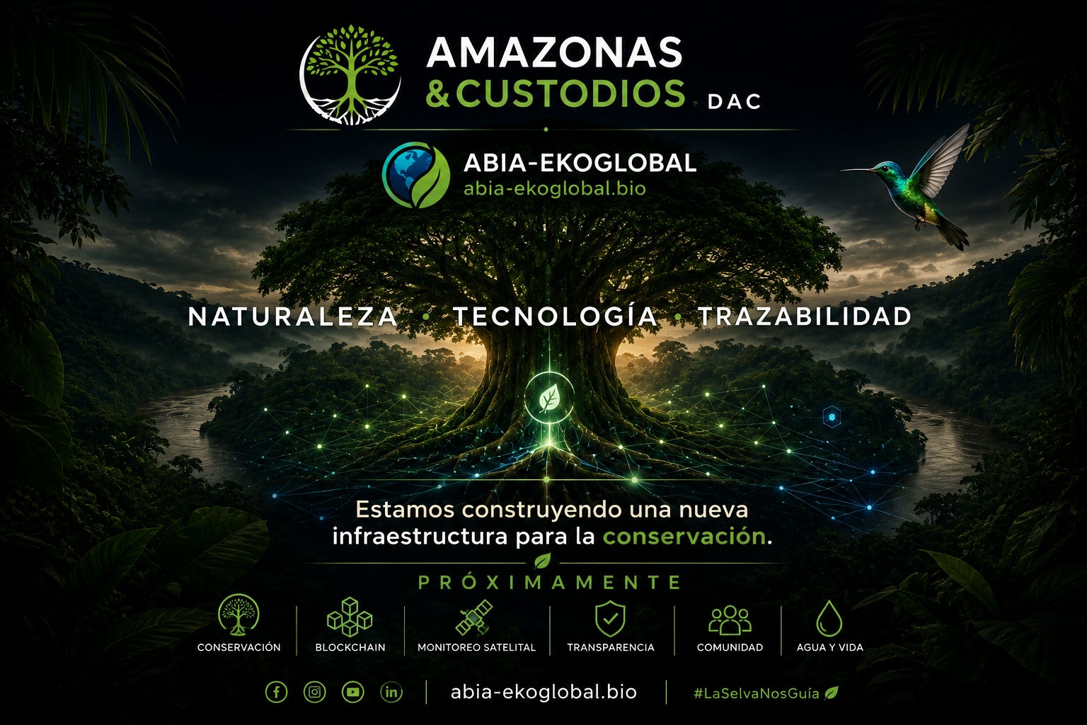 AMAZONAS & CUSTODIOS DAC - Próximamente
